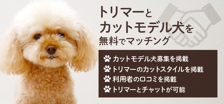 カットモデル犬募集サイト｜toritori
