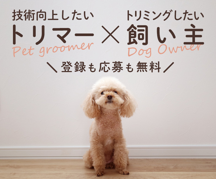 カットモデル犬とトリマーを無料でマッチング