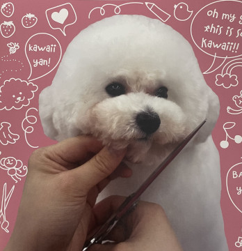 トリミングスクールのカットモデル犬 ※カット犬種募集中です！