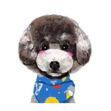 トリミング、シャンプーモデル犬募集中